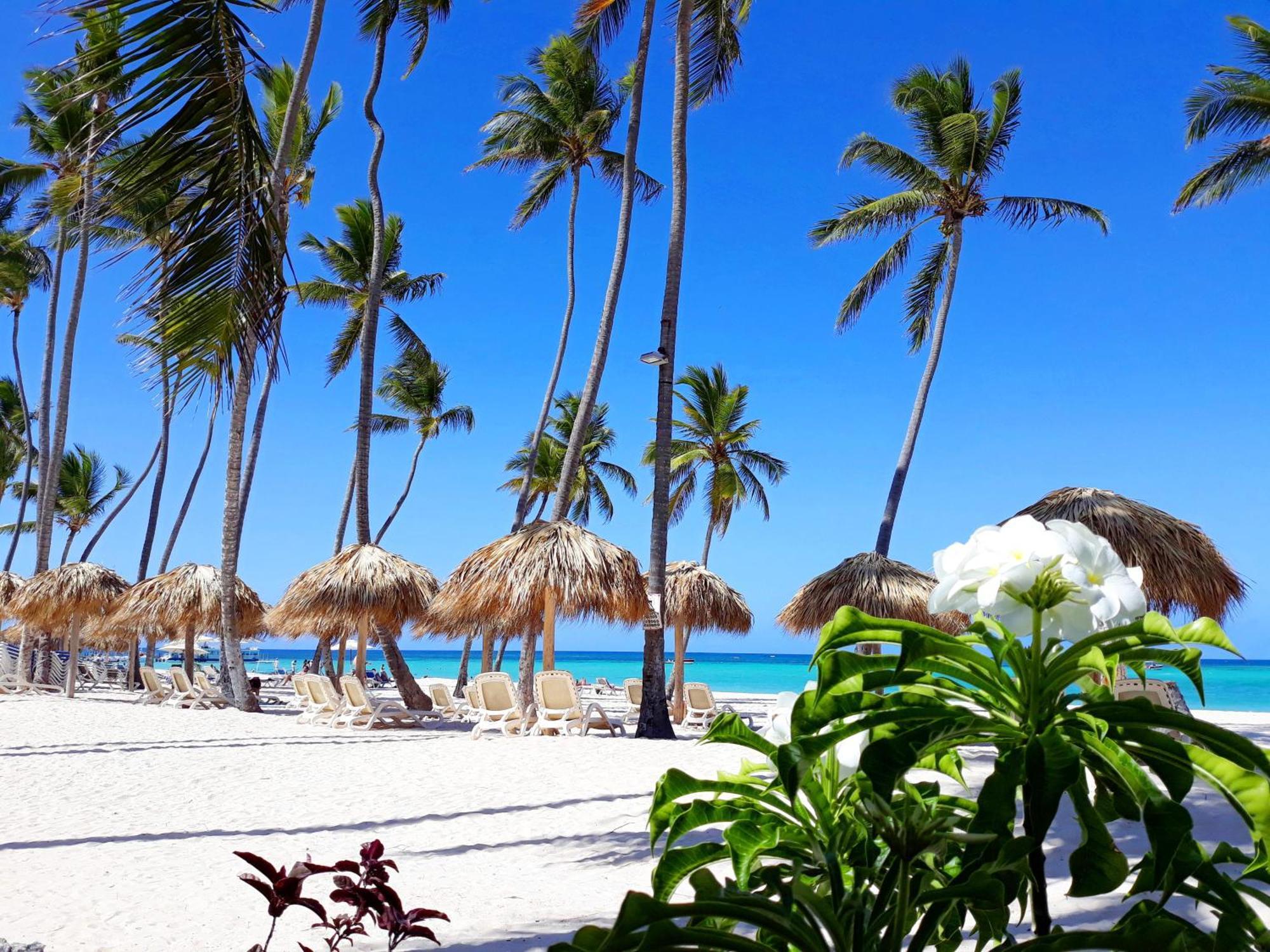 La Flor Del Caribe Beach & Spa Punta Cana Room photo